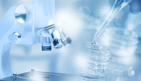 昕航实业三大投资产业方向